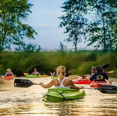 people kayaking on a river